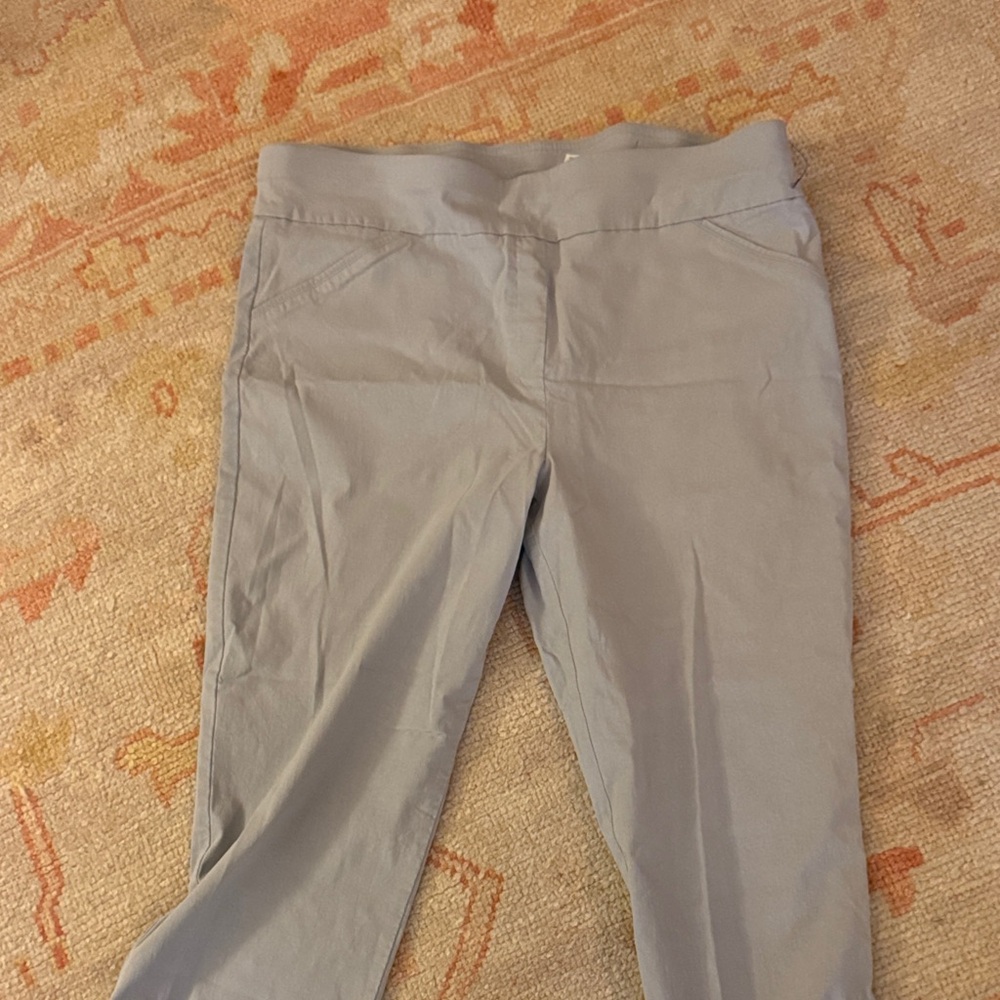 Alfred Dunner Light Gray Ankle Pants